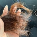헤어미 | 헤어클리닉 받으면서 힐링하고 온 &#34;올오브미헤어 서초점&#34; 방문 후기~