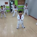 경희대 진명태권도 이미지