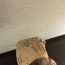 진정+보습+모공케어 한 번에! 🍎 파믹 애플타치온 토너패드 솔직 후기 이미지