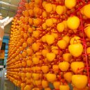 철민농장 이미지