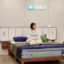 한지장 | 인천 씰리침대 검단 매장 오픈특가