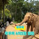 휴앤조 | 4박 5일 자유여행기 — 사파리·케이블카·사오비치·그랜드월드까지 핵심만 꽉 눌러 담은 일정 후기