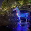 당현천 차없는거리 이미지