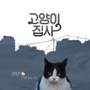 꿈꾸는고양이 이미지