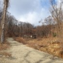 여주-1062 이미지