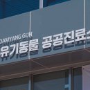 담양군반려유기동물공공진료소 | ‘담양군 반려·유기동물 공공진료소’, 적극행정 규제혁신 우수사례 선정
