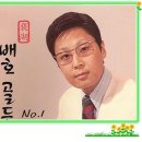배*호 - 안양시 동안구 평촌대로179번길 | 배*호
