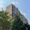 압구정-117 이미지