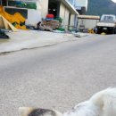 뾰족산펜션 이미지