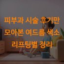 말미 | 피부과 시술 후기만 모아본 여드름 색소 리프팅별 정리