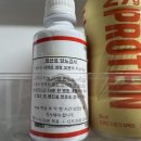 엘씨80 | 임신 주차별 검사 리스트 총정리 l 초기부터 후기까지 모두 정리했어요