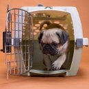 행복한산책 동물병원 이미지