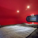 우주오리 이미지