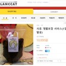 씨에이치동물병원