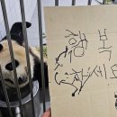 강남타이야키코히 - 강남구 남부순환로 2942 | 강남타이야키코히