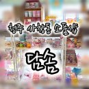 담솜 이미지