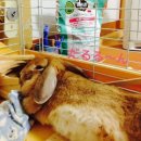 주식회사 씨앤드 이미지