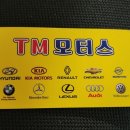 티엠모터스 이미지