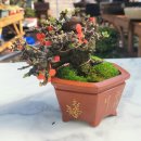 홍장농장 이미지