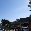 양양 | 양양놀거리 양양볼거리 휴휴암 주차 꿀팁 후기