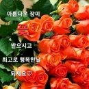 건강하세요