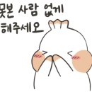 킹콩홈케어 이미지