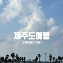 리치랜드 | 부모님모시고제주도여행 - 함덕해수욕장, 리치망고, 에코랜드