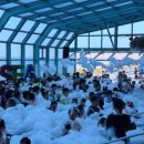 멍멍사우나 이미지