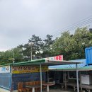 도선장횟집