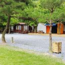 수희재캠프 네이버블로그