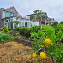 바다가보이는정원민박 이미지