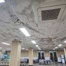 (주)비텍스 이미지