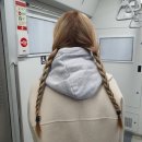 올스테이인 이미지