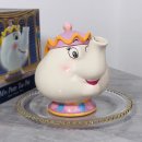 신촌동물병원 이미지