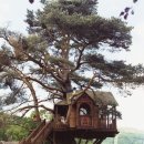 미니하우스 이미지