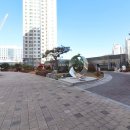 도담동늘봄초등학교 이미지