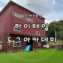 유워시분당용인센터 | 용인 애견훈련 하이테일도그아카데미 | 출산 전 강아지 행동 교정 전문가와 맞춤 상담 후기