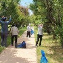2025 섬 홍매화축제 이미지