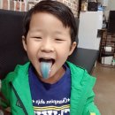 윤자목장 이미지