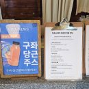 [제주] 세화 가볼만한 곳 시타북빠 세화해변 청음북카페 내돈내산 방문 후기