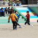 금정초등학교 Daum카페