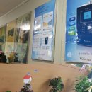 뉴랜드알로에 대구시지지사 | 뉴랜드알로에 대구시지지사입니다ᆞ