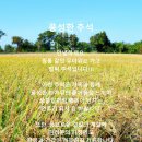 비자잡코리아(VisaJobKorea) 이미지