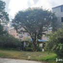 후석로441번길 이미지