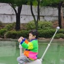 붕붕카매니아 이미지