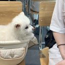 맨인더키친딜리버리수목원점 이미지