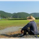 전천후농장 이미지