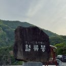 월류봉 둘레길 완정교 화장실 | 5월 충북 영동 월류봉 다녀온 후기｜걷기 좋은 둘레길, 조용한 국내 힐링 여행지 추천