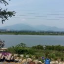 큰나무민박 이미지