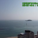 도담부동산공인중개사사무소 이미지